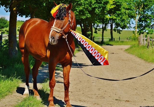 特伦特的三 特伦特的三