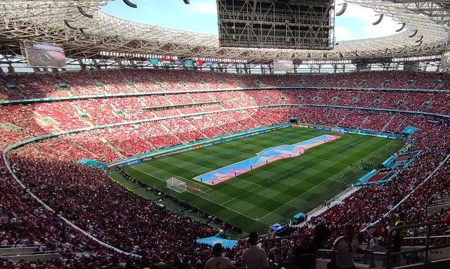 功的案例来 功的案例来