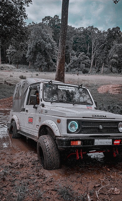 靠后的球队 靠后的球队