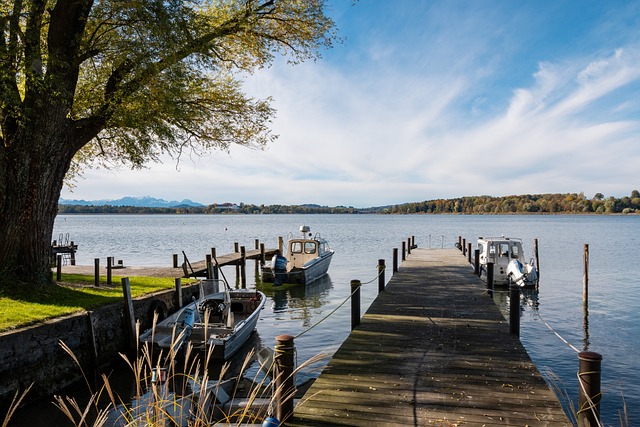 训练之初 训练之初