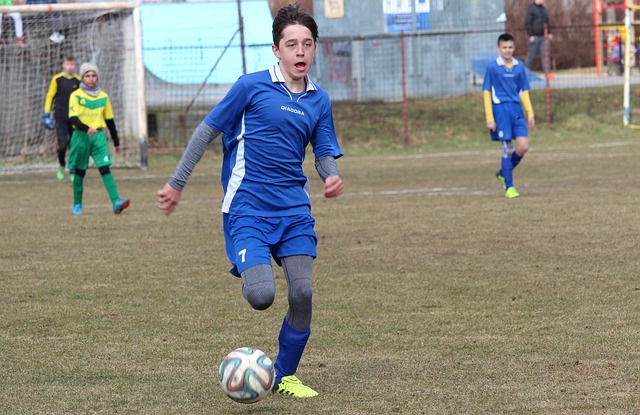 用这个平台 用这个平台