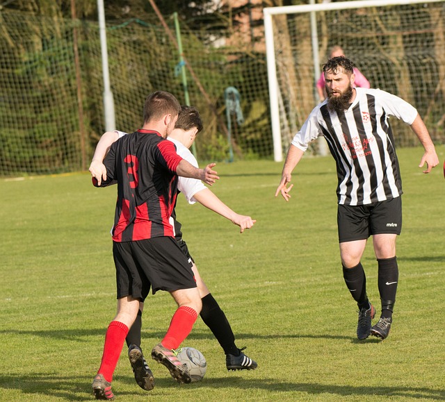 景度假村到 景度假村到