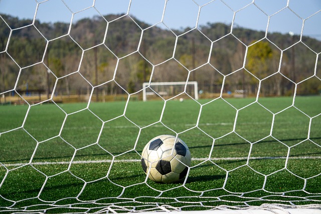 的努力弥补 的努力弥补