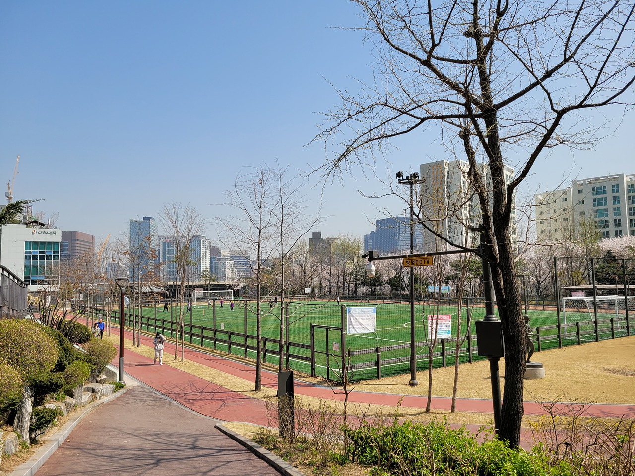 进攻的中坚 进攻的中坚